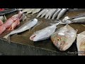 Fish Market Koki Port Moresby Papua New Guinea