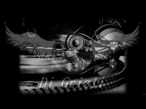 Dj Grizli-€lectro-House Club Mix 13.01.2012.