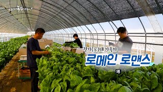 [197회_1부] 정가(家)네 가족의 로메인 로맨스