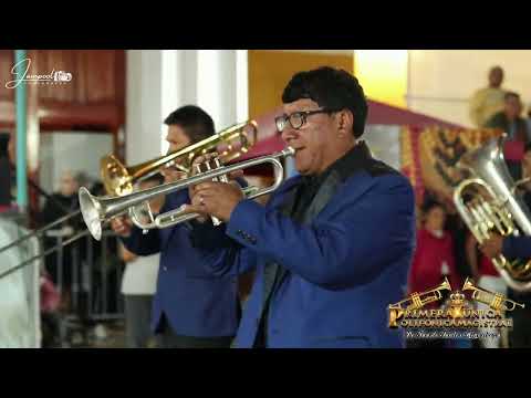 HUANUQUEÑITA PRETENCIOSA (HUAYNO) 🎺 BANDA PRIMERA Y UNICA POLIFONICA MAGISTRAL DR. FAUSTO SANTOS H.🎊