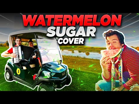 Harry Styles: Watermelon Sugar COVER (Accordion and Cello)