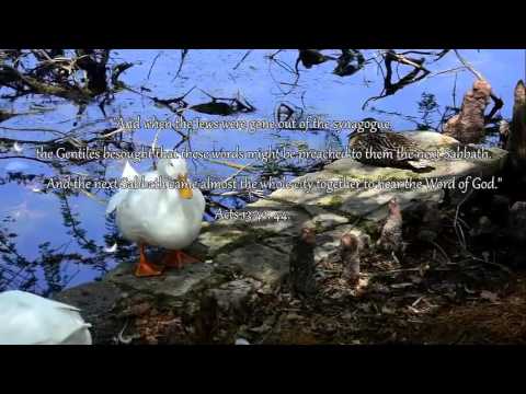 O SINGURA SCRIPTURA...DE CE ATATEA RELIGII? cap 5