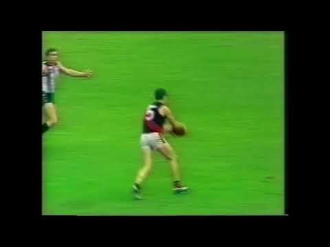 Essendon Highlights - Rd 8 1987 v Collingwood