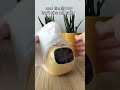 Ivy Is More Than Smart Planter Shots Short Plants Smarthome Cute Planter Robots Pets Tech
