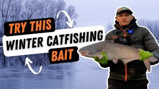 This Winter Bait will TEAR UP the Eaters