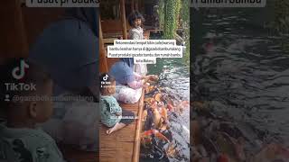 Download lagu Tempat Bikin Warung Bambu Lesehan | WA 0857.5510.3367 #gazebobambumalang mp3