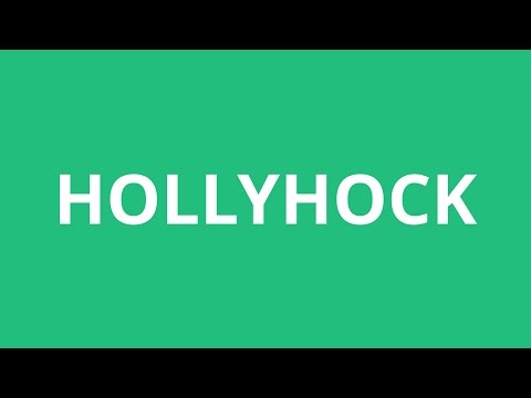 How To Pronounce Hollyhock - Pronunciation Academy