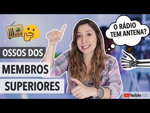 Ossos dos Membros Superiores: Sistema Esquelético 5/5
