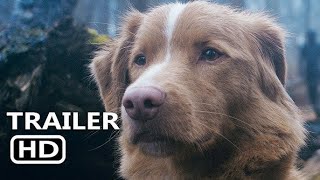 Trailer Preview Image