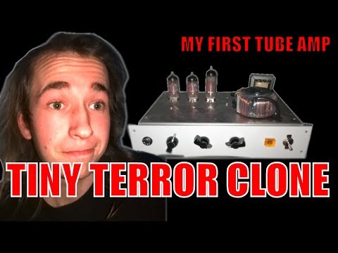 Made my FIRST TUBE AMP | TINY TERROR CLONE