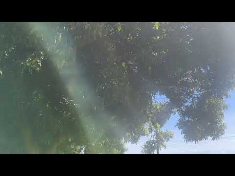 Bora conhecer um ponto turístico em Primeiro de maio pr