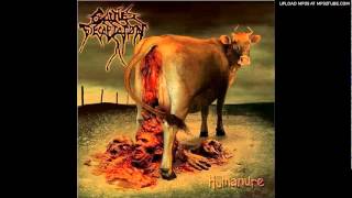 Cattle Decapitation- Applied Human Defragmentation