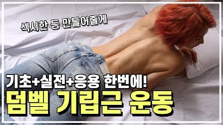 덤벨 기립근 운동 (feat.등 운동 기초+실전+응용편)