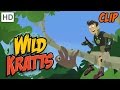 Wild Kratts - Relaxing with Sloths