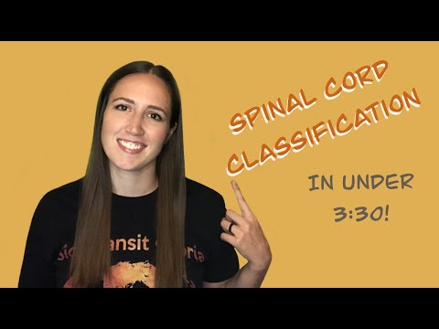SPINAL CORD - Injury Classification (ASIA / NLI)