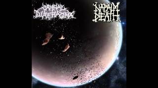 Carnal Diafragma - Unchallenged Hate (Napalm Death Cover) [HQ]
