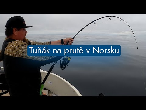 Tuňák na prutě v Norsku