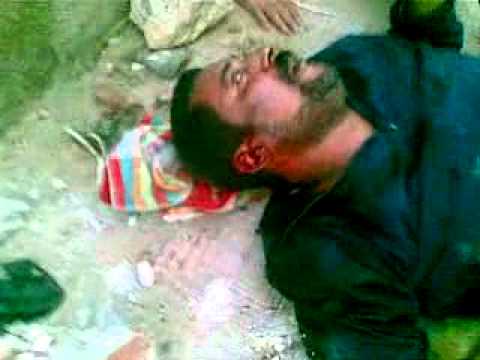 حراس سجن أبو زعبل يعدمون المعتقلين السياسين أمس