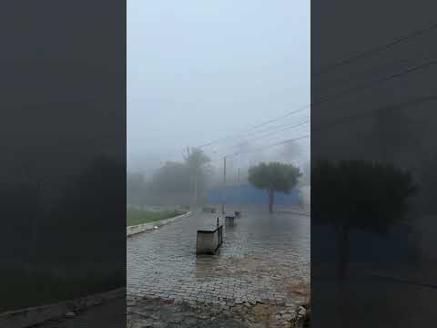 Nevoeiro pela manhã, Serra da Raiz-PB 24/06/25