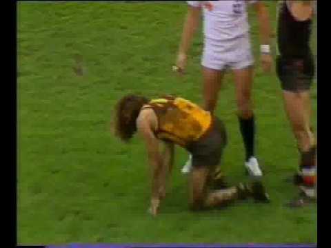 VFL Football R15 1986 - Hawthorn v St.Kilda