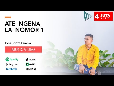 Lagu Karo Terbaru 2022 | Ate Ngena La Nomor Sada | Peri Jonta Pinem