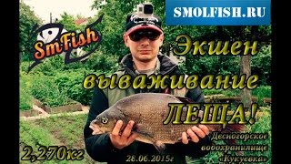Ловля леща летом на десногорском водохранилище