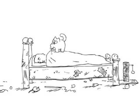 Simon's Cat  'Cat Man Do'