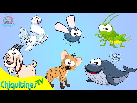 El Sonido de los Animales 2 - Canción Infantil - aprende los animales - animación para niños