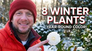 8 Winter Flowering Plants for Your Landscape