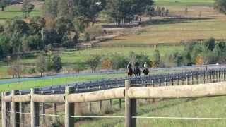 LINDSAY PARK FACILITIES (2014 Version)