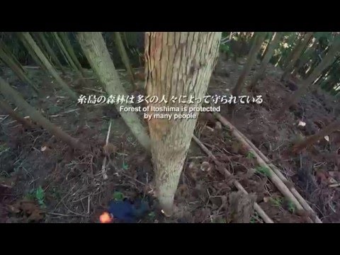 福岡県糸島市への移住【メリットやデメリット】｜移住マップ