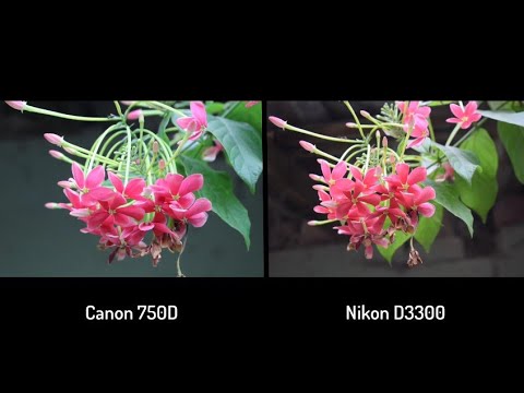 Nikon d3300 vs Canon 750d l photographs l and Canon 750 vs nikon d5300