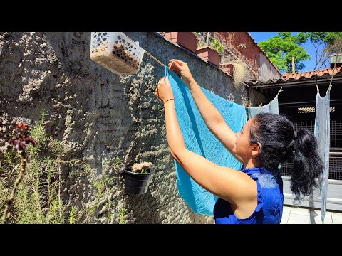 Manhã tranquila e acolhedora 🌷 rotina, receita, vida tranquila de uma dona de casa 🌿  vlog