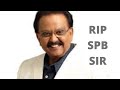 Spb Rip Tribute