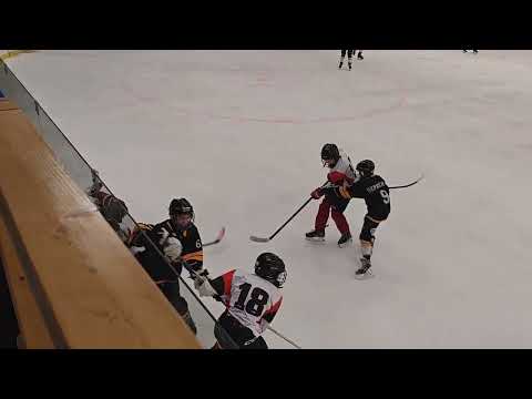 2026_01_31 DHK-Karpati Farkasok U14 1.HARMAD