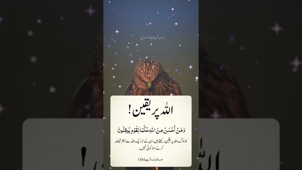 Best Islamic Motivation Quotes 🌙 | Powerful Quran & Hadith Inspiration for Life 2025 💫 #shorts#islam