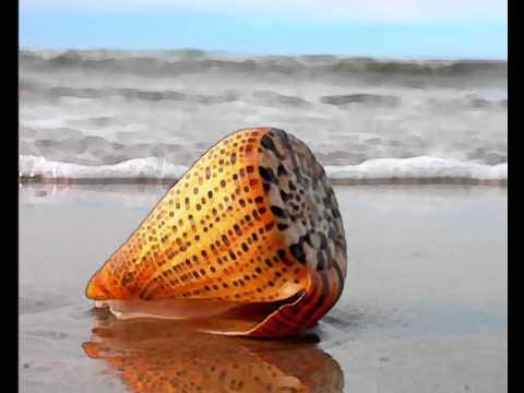 E Io Verrò Un Giorno Là - Patty Pravo - Ci Saremo Davvero!...