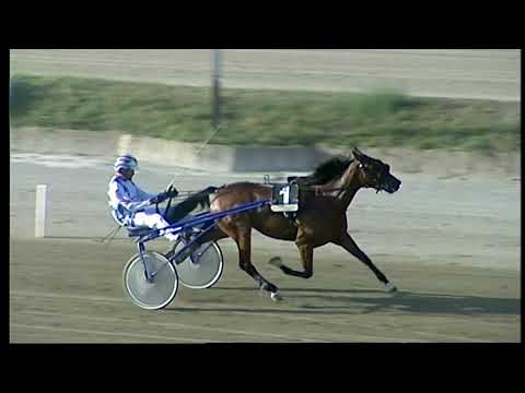 Napoli Trotto 24/09/2021 - 4ª prova di qualifica