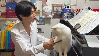 Download lagu 六月のクラゲLIVE！ mp3