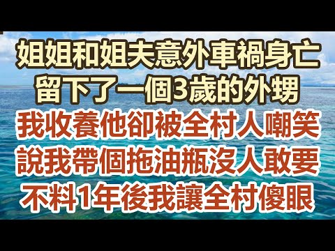 外甥在客廳幫姐姐掭