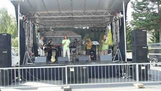 Video Marma Kansas Revival - The Wall - festival Vimperk