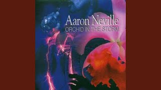 This Is My Store: We Belong Together (feat. Art Neville)