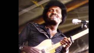 Blues for Gabe - Albert Collins