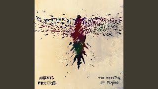 For You (feat. Strong Arm Steady)