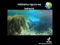 Ukweli Kuhusu Samaki Mtu Aitwae Nguva Naomba Unapotizama U Subscribe Mpendwa