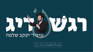 Regeshdig - Yaakov Shlomo Gross [Live Audio Track] | רגש'דיג - יעקב שלמה גראס