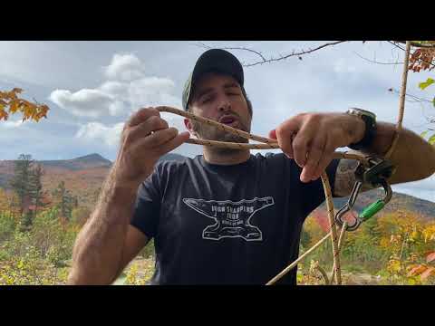 Saddle Hunters! Back up your device!