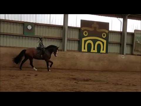 Malu (9) und Monte - am 11.07.2018