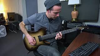 Video thumbnail for ESP LTD TE-1000 Evertune Drop A | Ape - Jinjer by No Passenger Studio