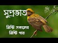 Bengali morning beautiful song// মিষ্টি সকালের মিষ্টি একটি বাংলা 